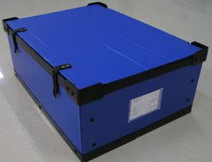 ë���N����